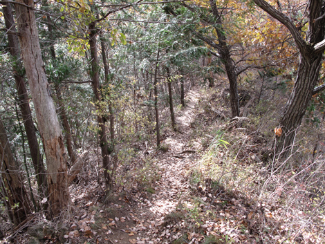 20181126hike (115)